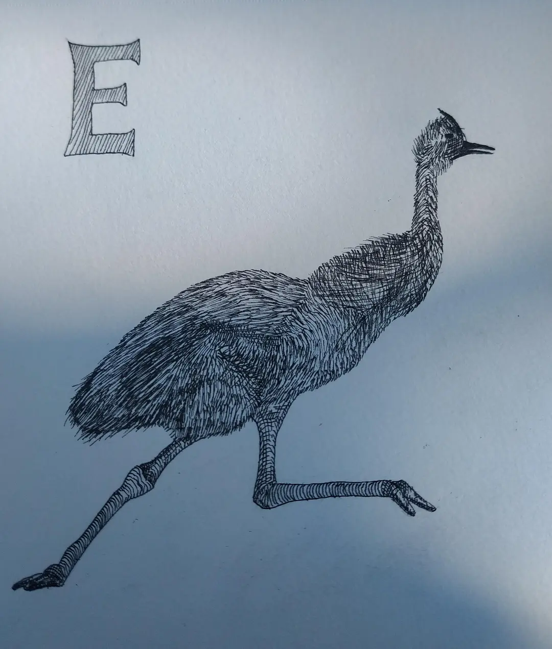 Emu