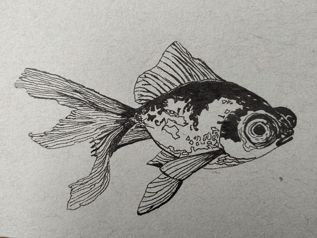 Betafish