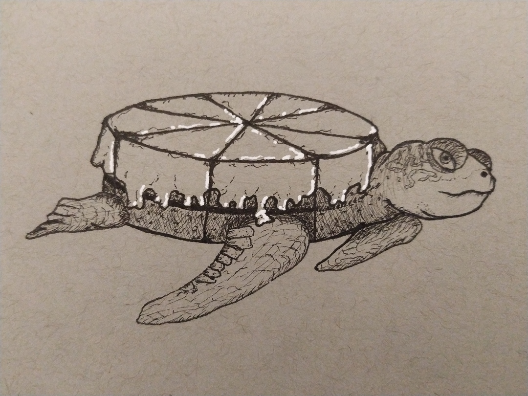 Tortaruga