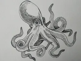 Octopus