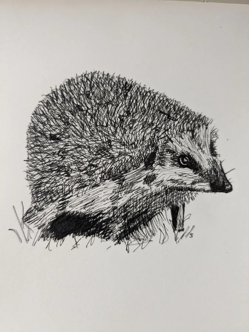 Hedgehog