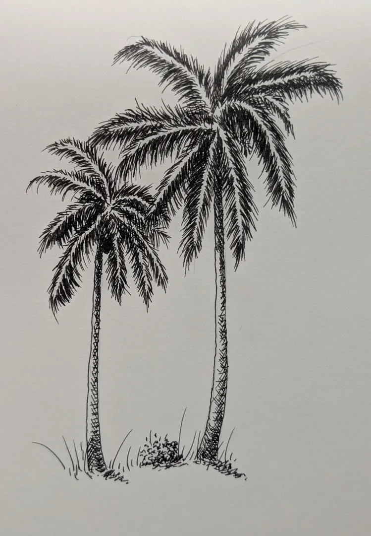 Palms