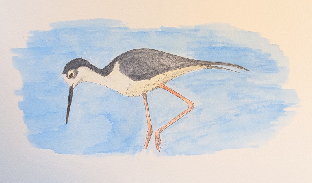 Stilt