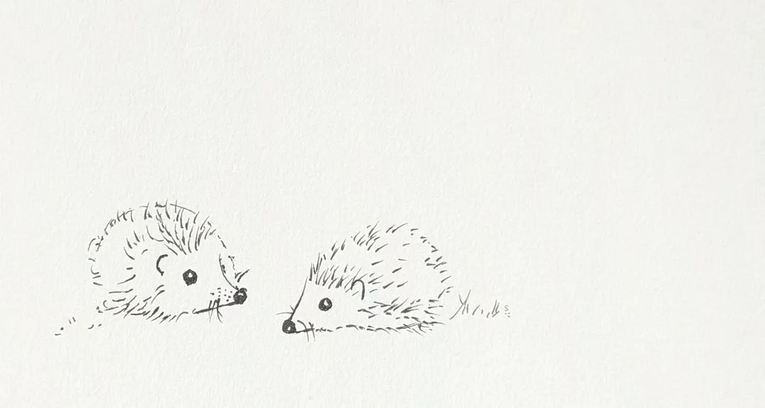 Hedgehogs